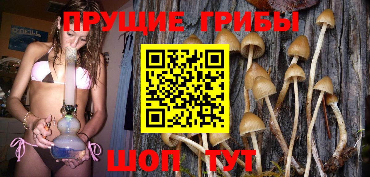 Галлюциногенные грибы Psilocybine cubensis  Вход с VPN  Куйбышев 
